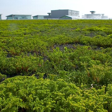 Modular and pre-vegetated green roof system installation