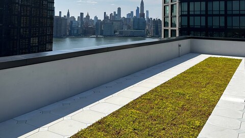 Vegetated Roof
