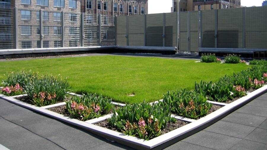 semi-intensive vegetated roof