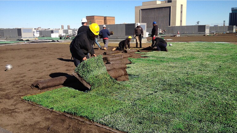 Green roof installation process with construction crew laying down vegetation mats